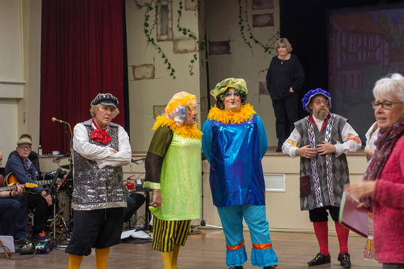 CDS presents their 2021 Panto Cinderella