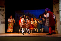 CDS presents their 2021 Panto Cinderella