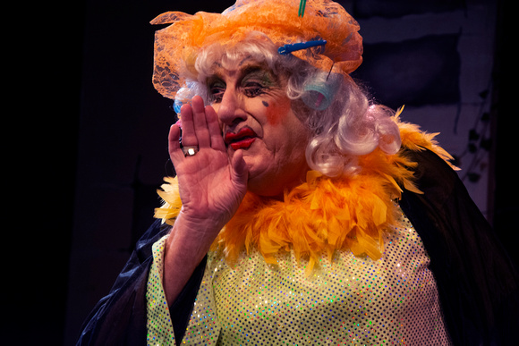 CDS presents their 2021 Panto Cinderella